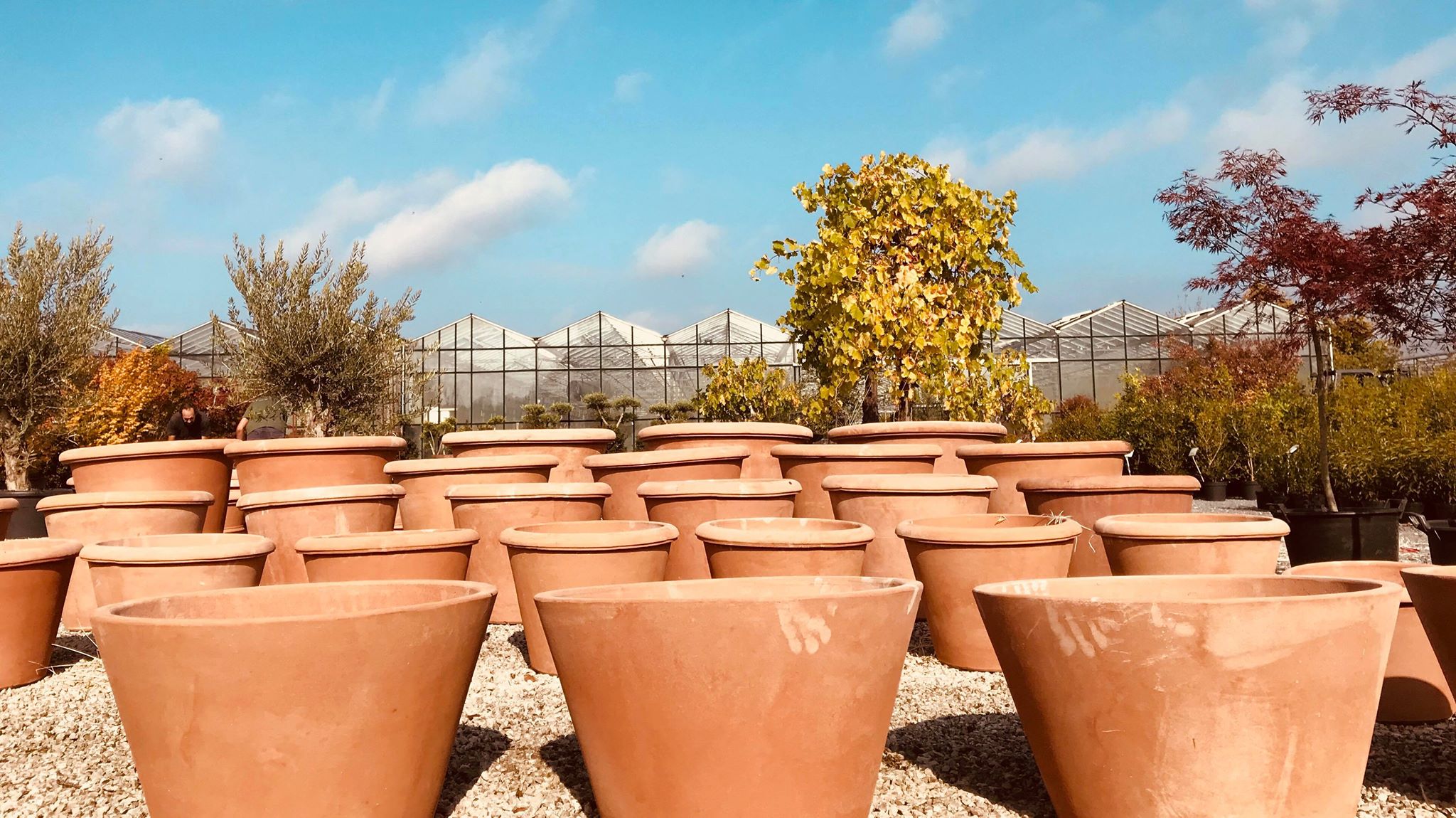 kennisgeving Acrobatiek betekenis TERRACOTTA & PLANTENBAKKEN | Greenhouse.be