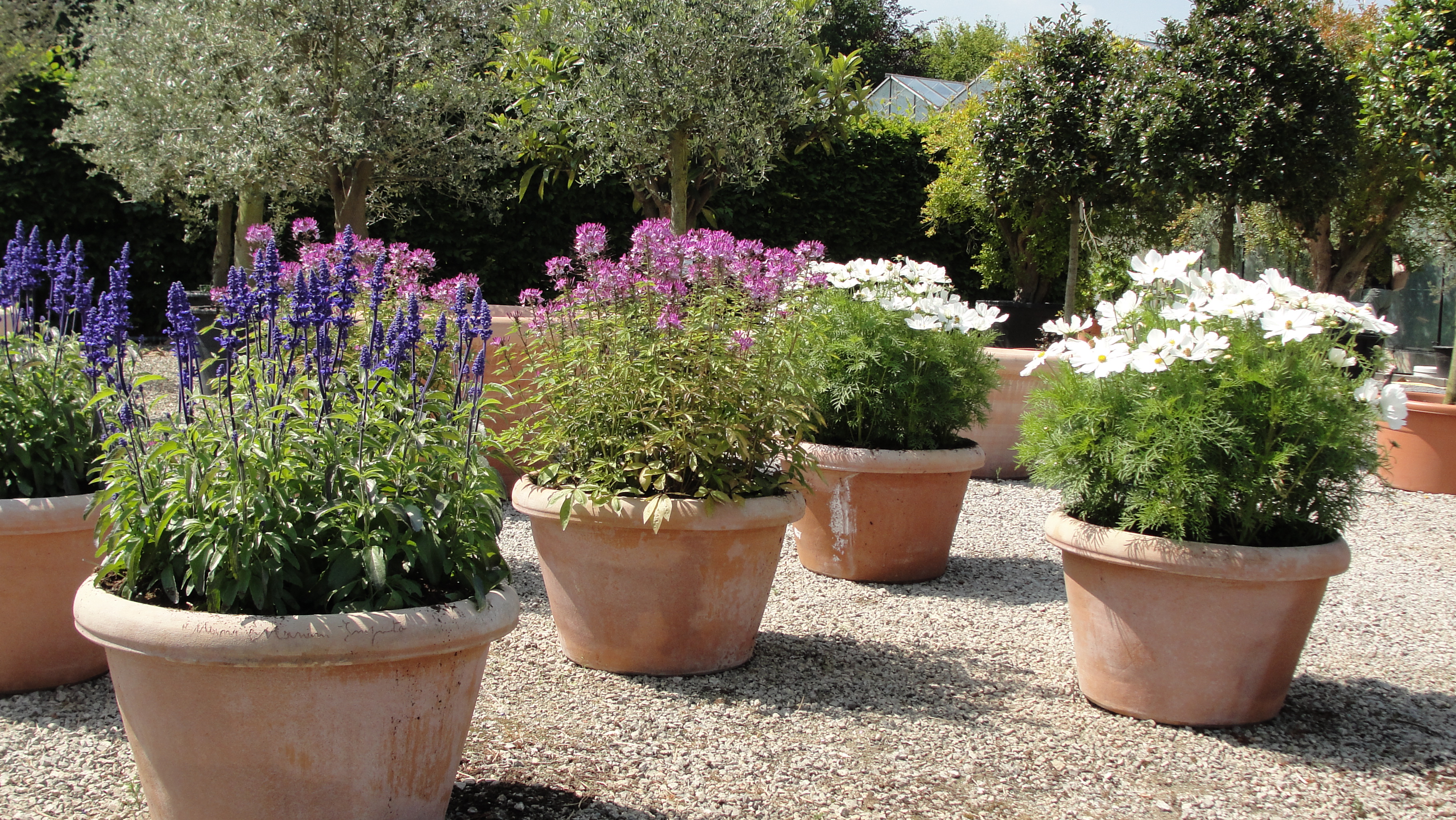 Varen Aardappelen Naschrift TERRACOTTA & PLANTENBAKKEN | Greenhouse.be